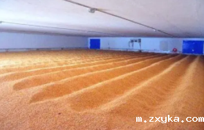 磷化氢浓度监测标准是什么?